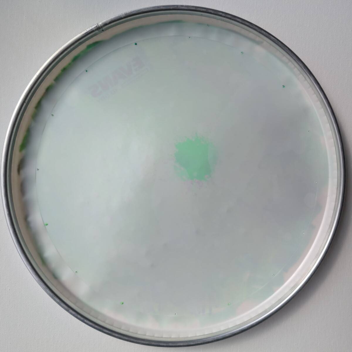 AUTOGRAPHED 13" SNARE DRUM HEAD